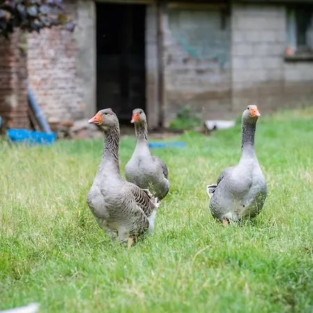Charmante Avec Jardin Privé