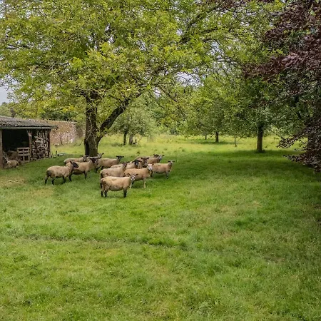 Charmante Avec Jardin Prive Holiday home *